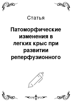 Статья: Патоморфические изменения в легких крыс при развитии реперфузионного синдрома, отягощенного воздействием излучения