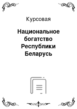 Курсовая: Национальное богатство Республики Беларусь