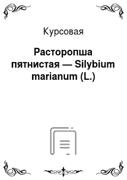 Курсовая: Расторопша пятнистая — Silybium marianum (L.)
