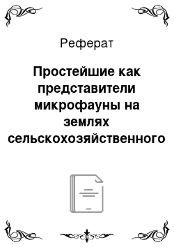 Реферат: Простейшие как представители микрофауны на землях сельскохозяйственного пользования