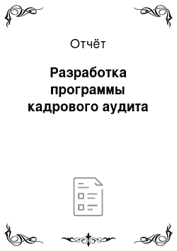 Отчёт: Разработка программы кадрового аудита