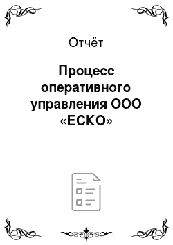 Отчёт: Процесс оперативного управления ООО «ЕСКО»