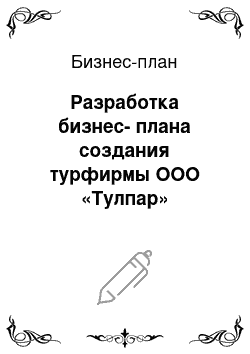 Бизнес-план: Разработка бизнес-плана создания турфирмы ООО «Тулпар»