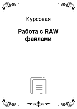 Курсовая: Работа с RAW файлами