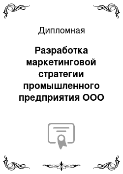 Дипломная: Разработка маркетинговой стратегии промышленного предприятия ООО «ПетроМеталлоБетон»