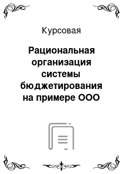 Курсовая: Рациональная организация системы бюджетирования на примере ООО «КХ Весна»