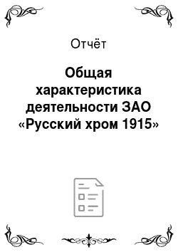 Отчёт: Общая характеристика деятельности ЗАО «Русский хром 1915»