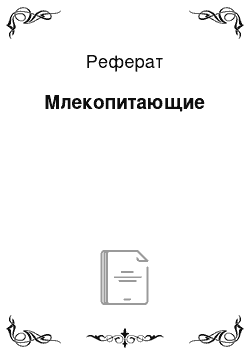 Реферат: Млекопитающие