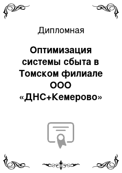 Дипломная: Оптимизация системы сбыта в Томском филиале ООО «ДНС+Кемерово»