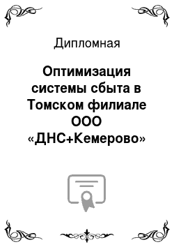 Дипломная: Оптимизация системы сбыта в Томском филиале ООО «ДНС+Кемерово»