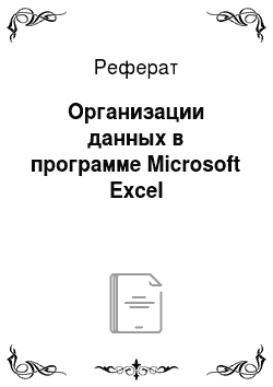 Реферат: Организации данных в программе Microsoft Excel