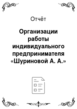 Отчёт: Организации работы индивидуального предпринимателя «Шуриновой А. А.»