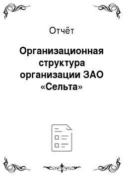 Отчёт: Организационная структура организации ЗАО «Сельта»