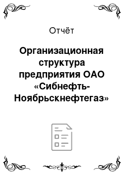 Отчёт: Организационная структура предприятия ОАО «Сибнефть-Ноябрьскнефтегаз»