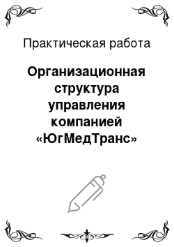 Практическая работа: Организационная структура управления компанией «ЮгМедТранс»