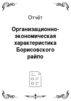 Отчёт: Организационно-экономическая характеристика Борисовского райпо