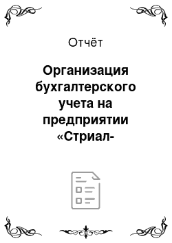 Отчёт: Организация бухгалтерского учета на предприятии «Стриал-автотранс»