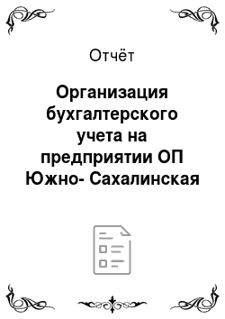 Отчёт: Организация бухгалтерского учета на предприятии ОП Южно-Сахалинская ТЭЦ-1
