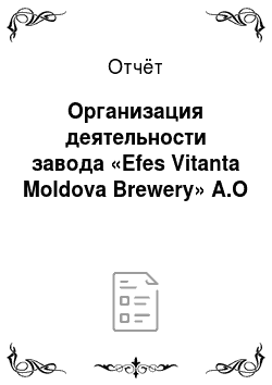 Отчёт: Организация деятельности завода «Efes Vitanta Moldova Brewery» A.О