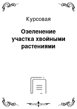 Курсовая: Озеленение участка хвойными растениями