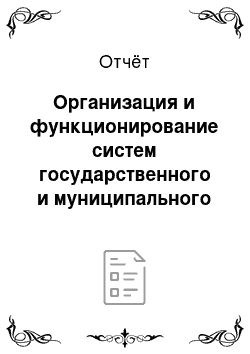 Отчёт: Организация и функционирование систем государственного и муниципального управления