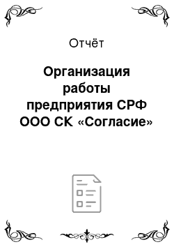 Отчёт: Организация работы предприятия СРФ ООО СК «Согласие»