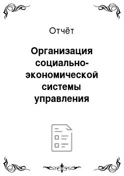 Отчёт: Организация социально-экономической системы управления предприятия (на примере ОАО «Вера»)