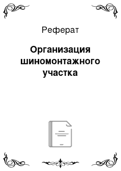 Реферат: Организация шиномонтажного участка