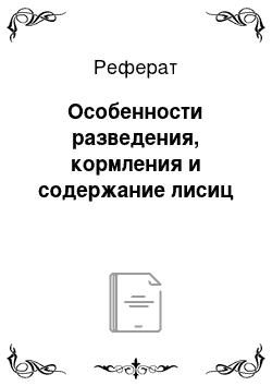 Реферат: Особенности разведения, кормления и содержание лисиц