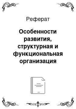 Реферат: Особенности развития, структурная и функциональная организация суперЭВМ