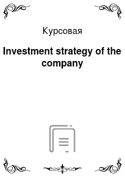 Курсовая: Investment strategy of the company