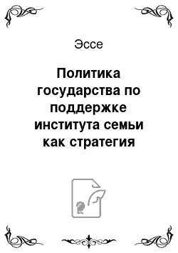 Эссе: Политика государства по поддержке института семьи как стратегия профилактики социального сиротства