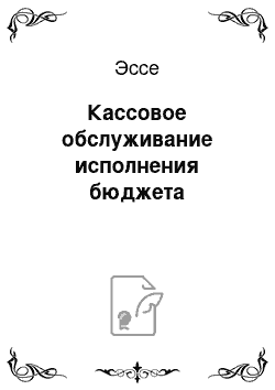 Эссе: Кассовое обслуживание исполнения бюджета