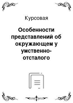 Курсовая: Особенности представлений об окружающем у умственно-отсталого ребенка дошкольного возраста