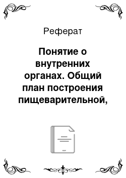 Реферат: Понятие о внутренних органах. Общий план построения пищеварительной, дыхательной и моче-половой систем, их отделы и функции