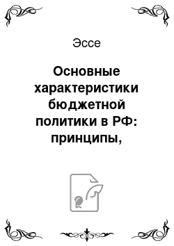 Эссе: Основные характеристики бюджетной политики в РФ: принципы, направленность, параметры федерального бюджета