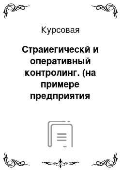 Курсовая: Страиегическй и оперативный контролинг. (на примере предприятия (производства)