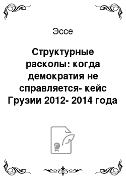 Эссе: Структурные расколы: когда демократия не справляется-кейс Грузии 2012-2014 года