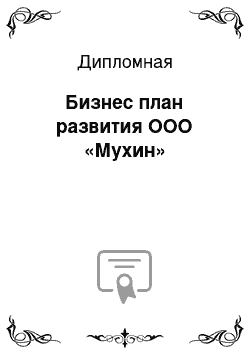 Дипломная: Бизнес план развития ООО «Мухин»