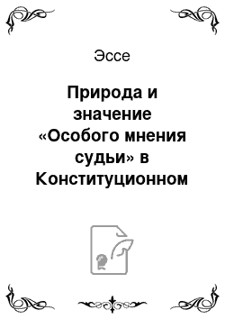 Эссе: Природа и значение «Особого мнения судьи» в Конституционном Суде