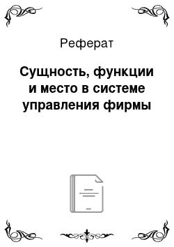 Реферат: Сущность, функции и место в системе управления фирмы