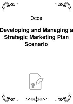 Эссе: Developing and Managing a Strategic Marketing Plan Scenario