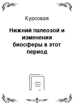 Курсовая: Нижний палеозой и изменения биосферы в этот период