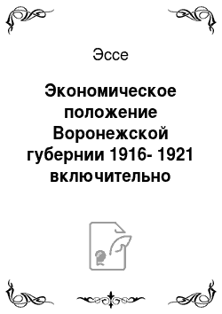Эссе: Экономическое положение Воронежской губернии 1916-1921 включительно