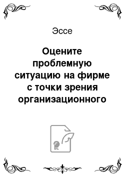 Эссе: Оцените проблемную ситуацию на фирме с точки зрения организационного поведения