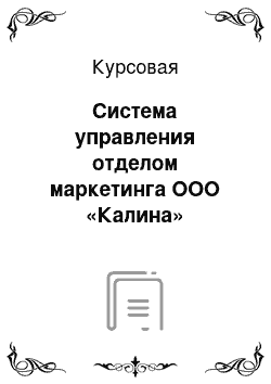 Курсовая: Система управления отделом маркетинга ООО «Калина»