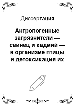 Диссертация: Антропогенные загрязнители — свинец и кадмий — в организме птицы и детоксикация их препаратами селена