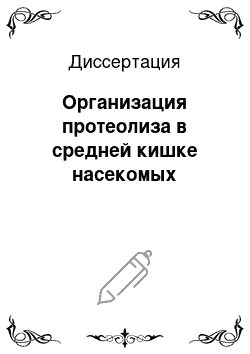 Диссертация: Организация протеолиза в средней кишке насекомых