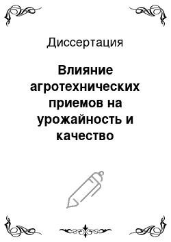 Диссертация: Влияние агротехнических приемов на урожайность и качество картофеля при возделывании на грядах