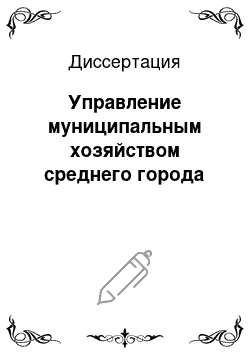 Диссертация: Управление муниципальным хозяйством среднего города